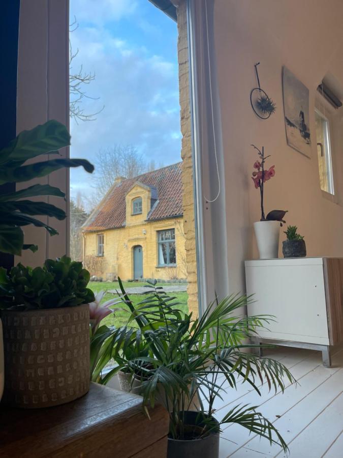 Apartment Vrijstaat Marie Halter